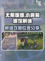 无限暖暖小棉菊旅馆🔥解谜全攻略📍