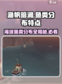 渔帆暗涌各海域鱼类分布特点说明介绍