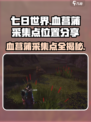 七日世界血菖蒲采集点有哪些介绍