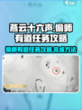 燕云十六声偷师有道怎么做​介绍