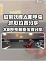 磁带妖怪太阳甲虫哪里抓介绍