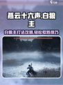 燕云十六声白狼主打法攻略介绍