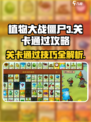 植物大战僵尸3关卡怎么通过介绍