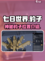 七日世界豹子在哪介绍