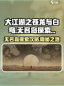 大江湖之苍龙与白鸟无名岛怎么探索介绍
