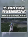 七日世界野外收容物宝箱获取方式介绍