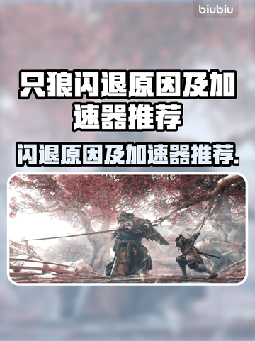 只狼闪退？用这款加速器🔥畅玩无忧！🎮截图1