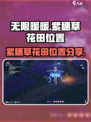 无限暖暖紫穗草花田在哪介绍