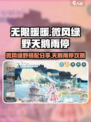 无限暖暖微风绿野的天鹅雨停在哪分享介绍