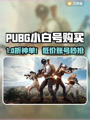 PUBG小白号哪里买？安全平台大曝光💥截图1