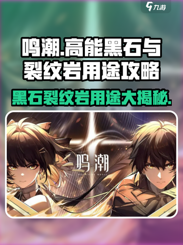 鸣潮⚡高能黑石与裂纹岩用途大起底！玩家必看🔥截图1