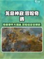 《龙息神寂》🔥冒险奇遇大揭秘！✨