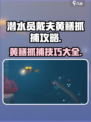 潜水员戴夫黄鳝抓捕攻略🌟抓黄鳝超简单！