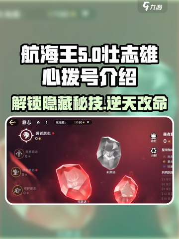 航海王热血出海🔥壮志雄心拨号全解析🎉截图1