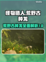 怪物猎人：荒野古种龙🔥超全介绍来啦！