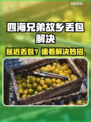 🎮四海兄弟故乡延迟丢包？速看解决妙招！