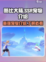酷比大陆ssr宠物有哪些介绍