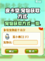 皮卡堂宠物怎么获得介绍