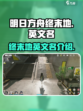 明日方舟终末地英文名是什么介绍