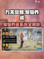 万龙觉醒🔥宠物养成全攻略💡宠物系统详细介绍