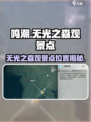 《鸣潮》无光之森观景点位置大揭秘！🌿✨