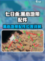 七日世界黑心地带配件在哪介绍