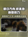明日方舟终末地跑图技巧介绍