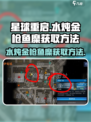 星球重启📖水炖金枪鱼糜做法及获取方法✨