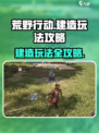 荒野起源建造怎么玩介绍