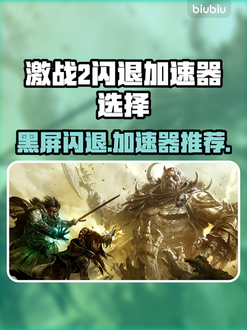 激战2黑屏闪退？用这个加速器搞定！🚀🎮截图1