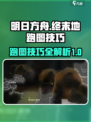 明日方舟终末地跑图技巧介绍