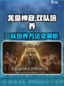 龙息神寂2队培养秘籍🔥游戏大神都在用！