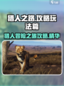 猎人之路攻略玩法篇介绍