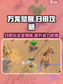 万龙觉醒🔥扫田攻略，玩转游戏必备技巧！