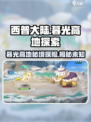 西普大陆暮光高地是什么介绍