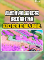 心动小镇🔥彩虹花束超全功能揭秘！💐
