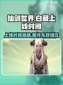 仙剑世界白藏什么时候上线介绍
