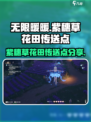 无限暖暖紫穗草花田在哪介绍