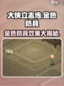 大侠立志传🔥金色防具全解析，效果逆天！