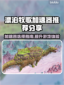 漂泊牧歌加速器推荐🎉游戏流畅不卡顿，选它就对了！
