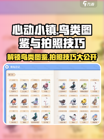 心动小镇🔥必看！鸟类图鉴全介绍及拍照技巧分享🎉截图1