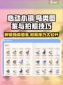 心动小镇🔥必看！鸟类图鉴全介绍及拍照技巧分享🎉