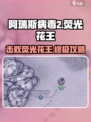 阿瑞斯病毒2🔥荧光花王打法技巧，速来学习！