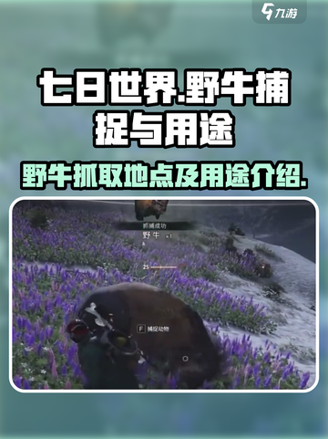 七日世界野牛哪里抓介绍截图1