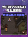 大江湖之苍龙与白鸟队伍如何搭配介绍