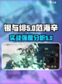 银与绯范海辛怎么样介绍