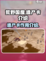 荒野国度🔥遗产卡全解析，助你称霸游戏⚡