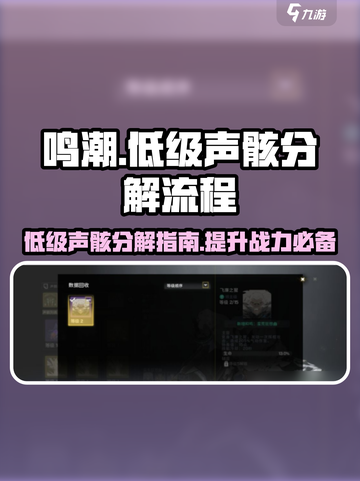 鸣潮⚡低级声骸分解流程大曝光！玩家必看🔥截图1