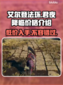 艾尔登法环君夜降临🔥发售价格大曝光！💰🔥