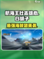 航海王壮志雄心🔥白胡子超强攻略来啦！